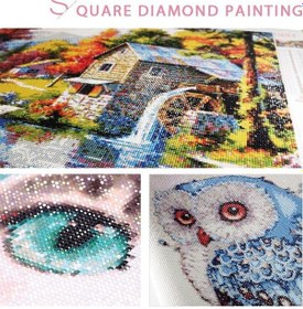 Resim 5d Dıy Elmas Boyama Kirpi Çapraz Dikiş Tam Yuvarlak/kare Elmas Nakış Mozaik Rhinestones Resim Ev Dekor Full Round 40x40cm 