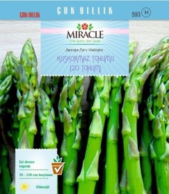 Resim Doğal Kuşkonmaz Tohumu 10 KG 