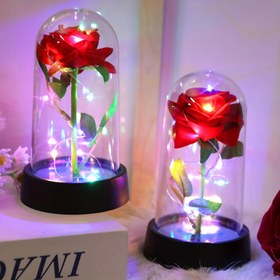 Resim 1 adet Simülasyon Gül Çiçeği Dekorasyon Lambası, İç Masaüstü Gül Çiçeği Dekorasyon Lambası, Işıklı Gül Çiçeği Gece Lambası, Çift Anma Hediyesi, Anneler Günü Kardeş Hediyesi 