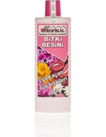Resim Tropikal Besin Bitkisi 6 Adet Çiçek Açtıran 1000 Ml 