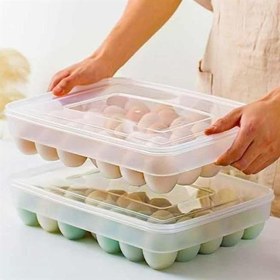 Resim 30lu Yumurta Saklama Kabı 