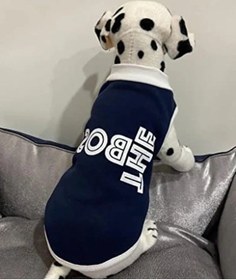 Resim 101Dzyn Lacivert Renkli Xl Beden Kedi Ve Köpek Kıyafeti, Yeni Sezon Moda 19-0303 