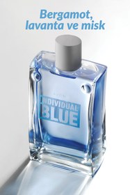 Resim Avon Individual Blue Erkek Parfüm 100 Ml. ve Full Speed Erkek Parfüm 75 Ml. İkili Paket 