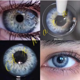 Resim Retina Bluegray / Gri Göz Lens / Yıllık 