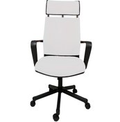 Resim Gizmo Efor Fileli Şef Bilgisayar Ofis Çalışma Koltuğu Fk1401 Beyaz 