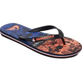 Resim Quiksilver Molokai Vortex Erkek Terlik 