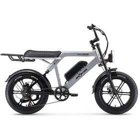 Resim Ape Ryder Colobus Elektrikli Bisiklet 750w - Gri 