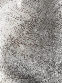 Resim Kadife Koltuk Örtüsü Süngerli 