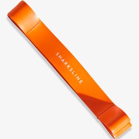 Resim Loop Direnç Lastikleri - Çok Seviyeli Güç Bantları (Kuvvet, Mobilite, Barfiks Yardımı) - Orange / Very heavy 