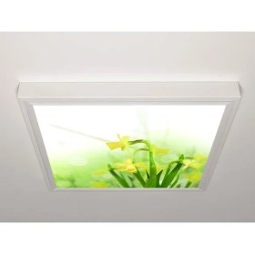 Resim Gök Panel 60X60 LED Panel Aydınlatma Armatür Avize Sıva Üstü Desenli Tekli 46510613SU 