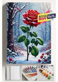Resim Sayılarla Boyama Seti Numaralı Tuval Fırça Boya Dahil Kasnaklı Set 40x50 Cm - Karda Gül 