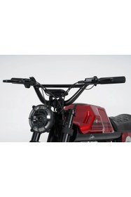 Resim Ape Ryder Gibbon Elektrikli Bisiklet 