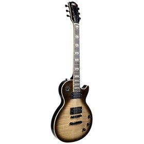 Resim Dmx Guitars DALP200 Antique Silverburst Les Paul Standart Elektro Gitar 