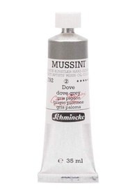 Resim Mussini 35Ml Yağlı Boya Seri:2 No:792 Dove Grey 