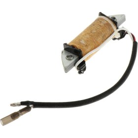 Resim Stshop M8 / 9.8b Motor Değiştirme İçin Ateşleme Bobini (Yurt Dışından) 