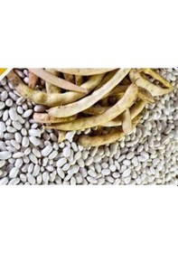 Resim 350 Adet Tohum Süper Paket Beyaz Fasulye Tohumu Kuru Fasulye Tohumu 