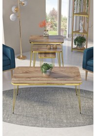 Resim Zigon Sehpa Kr Ve Orta Sehpa Kr Set Gold Ceviz Tel 