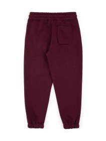 Resim U.s. Polo Assn. Erkek Çocuk Plum Eşofman Altı 50313976-vr177 New Plum 
