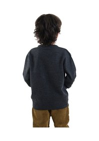 Resim Denokids Hayvanlar Erkek Çocuk Triko Kazak Renkli 