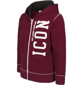 Resim Brz Kids Erkek Çocuk Baskılı Fermuarlı Kapüşonlu Sweatshirt-bordo Bordo 