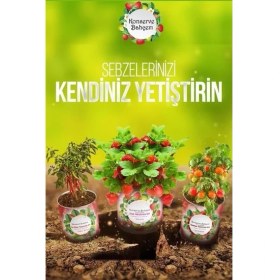 Resim Adatak® Konserve Bahçem Evde Konservede Kemer Patlıcanyetiştirme Kiti 