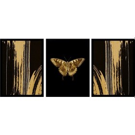 Resim Altın Kelebek Ve Soyut Üçlü Çerçeveli Cam Tablo Seti-172089 