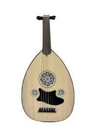 Resim Eğitimlik Zenne Ud Kaliteli Öğrenci Seviye 