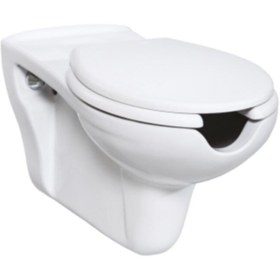 Resim Creavit Bd320 Bedensel Engelli Asma Klozet Beyaz Ve Kapak 