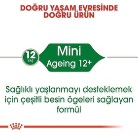 Resim Royal Canin Ageing +12 Gravy Pouch Yaşlı Konserve Köpek Maması 1 Adet 85 Gr 