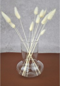 Resim Mantar Cam Vazo 12 Cm- 1 Adet 