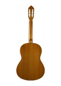 Resim Valencia Vc204 Klasik Gitar Mat Naturel 