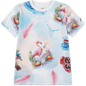 Resim Nike Nıke Jordan Jdb Jordan Flamıngo Aop Ss Tee Erkek Çocuk Tişört 95d844 001 001 Çok Renkli 