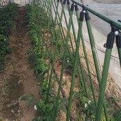 Resim 19 adet Bahçe Destek Çubuğu Seti, 19 adet Dayanıklı Bahçe Destek Çubuğu Seti - PET Kaplı Metal Çekirdek, 8 Destek Direği, 3 A-Şekilli Bağlayıcı, 8 Evrensel Klips, Koroziyona Dayanıklı, Sarmalı Bitkiler, Sarmalı Bitkiler, Meyve ve Sebzeleri Kolayca Ekleme 