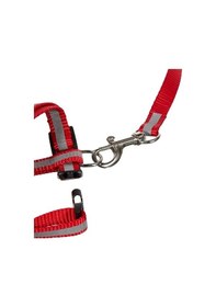 Resim Reflektörlü Kedi Gezdirme Tasması Çok Renkli 