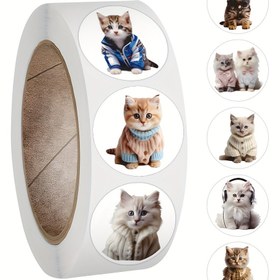Resim 500 Adet Kedi Sticker Rulosu - Scrapbooking, Laptoplar, Su Şişeleri ve Daha Fazlası için Canlı Vinil Çıkartmalar - Dayanıklı, Yeniden Kullanılabilir Karikatür Anime Tasarımları 
