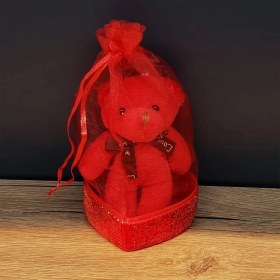 Resim Hediyelik Kırmızı Tüllü Kese ve Sevimli Ayıcık 