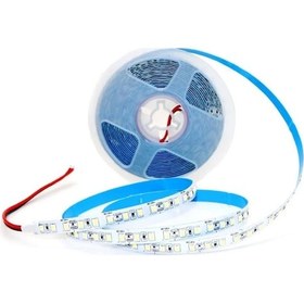 Resim Cata Ct-4481 10 Çip Şerit Led İç Mekan Gün Işığı Işık 5 Metre 