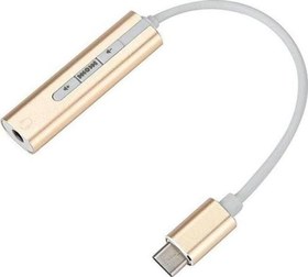 Resim HY-USBC30 Type-C to 1*3.5mm Audio 10cm Kablolu Çevirici Hytech