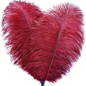 Resim 10 adet Canlı Kırmızı Ostrich Tüyleri 20.32-25.4 cm - Yüksek Kaliteli Kumaş El Sanatları Tüyleri DIY Ev Dekoru, Sahne ve Mobilya Dekorasyonu, Dayanıklı ve Şık El Sanatları Projeleri için, Ostrich Dekor 