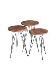 Resim Zigon Sehpa Tel Ayak Ceviz 1099 Çok Renkli 