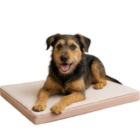 Resim EasyMat, Çift Taraflı Kullanılabilen, Çıkarılabilir Kılıflı, Yıkanabilir, Kedi ve Köpek Matı (Bej) - 80 x 100 