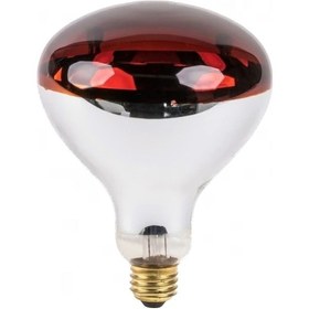 Resim 2 Adet 250w Infrared Isıtıcı Lamba -kırmızı 