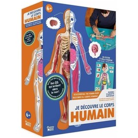 Resim İnsan Vücudunu Keşfediyorum Poster -model Ve Kitap Çok Renkli 