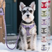 Resim Yumuşak Kozmik Köpek Yelek Harness ve Tasma Seti ile Şirin Çantalar Çekmeden Kaçmaz Solunabilir Mesh Köpek Harness Klasik Çizgili Uygun Kedi, Pili Olmadan 