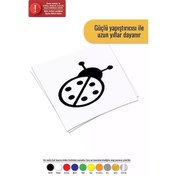 Resim Uğur Böceği - Araç, Oto, Laptop, Duvar Uyumlu Sticker 50 50 Cm 
