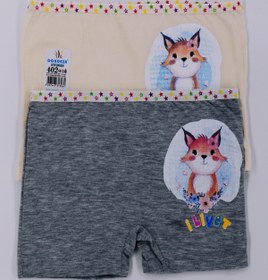 Resim Dondeza Kız Çocuk Baskılı Likralı Ikili Boxer 