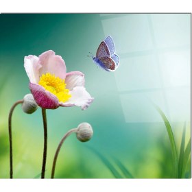 Resim Olinpa Cam Ocak Arkası Koruyucu | Kelebek 