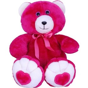 Resim Peluş Sevgi Ayıcık Fuşya - Anatoya Peluş Ayıcık 