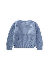 Resim Cigit Selanik Triko Kazak 2-8 Yaş A Mavi Mavi 