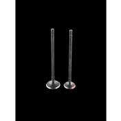 Resim Ramzey Karaca 100 Sibop Dq 